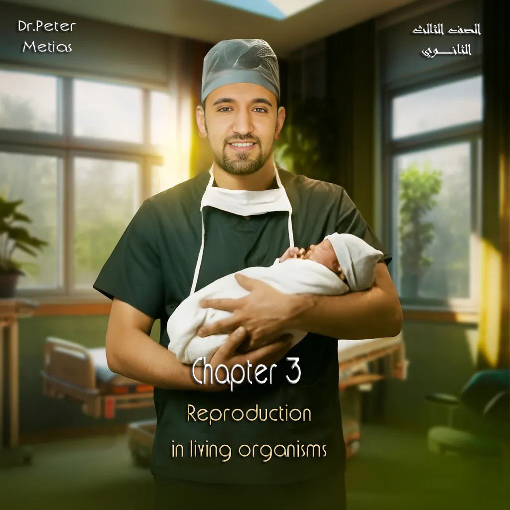 Reproduction in living organisms